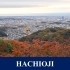 Hachioji City